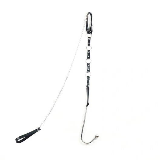 5853 Anal and Collar EverydayUse Hook with Kinky Leash 0905